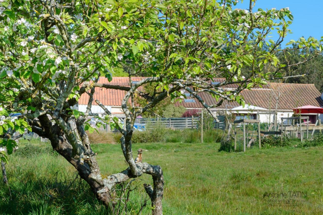 La Chevrerie Bed & Breakfast Vairé Eksteriør bilde